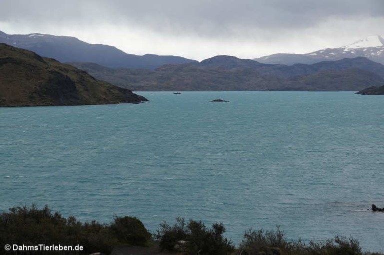 Lago Pehoé