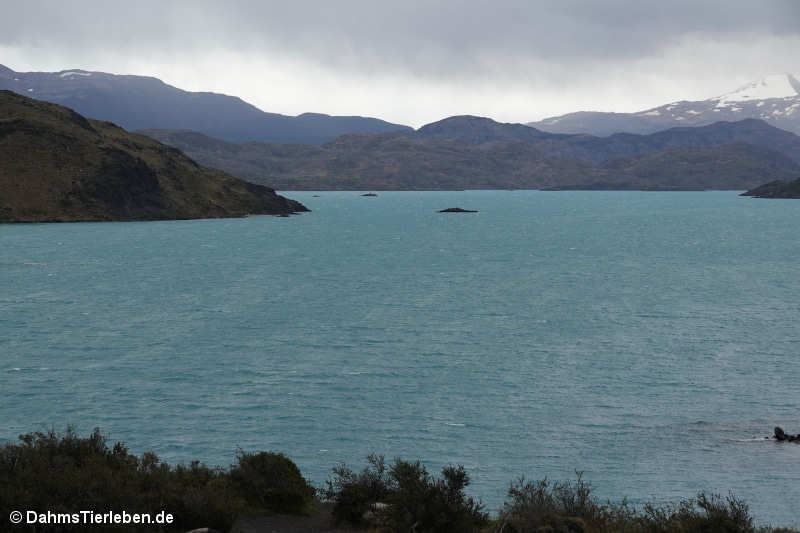 Lago Pehoé