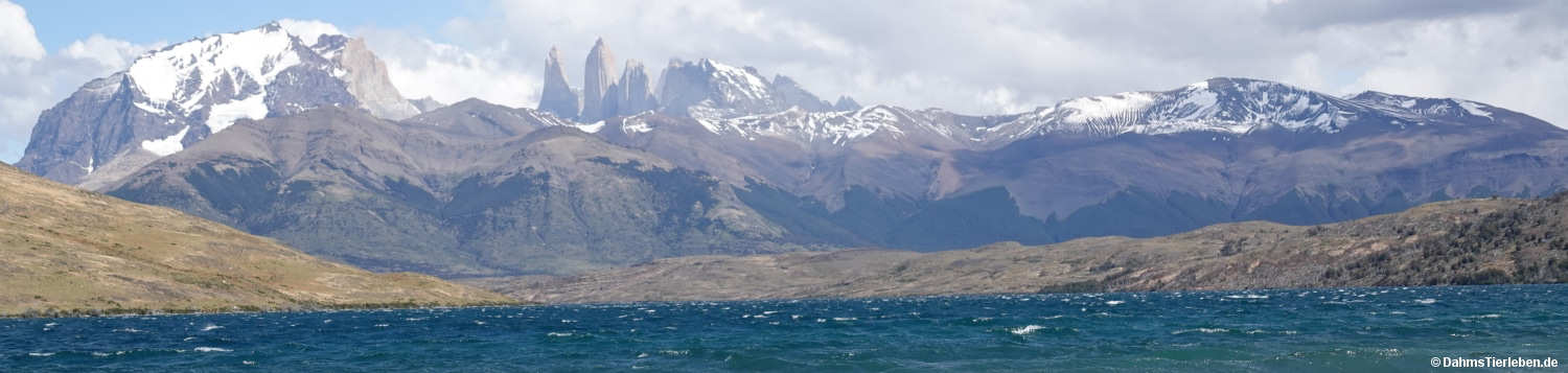 Paine-Bergkette