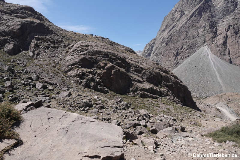 Valle de la Engorda