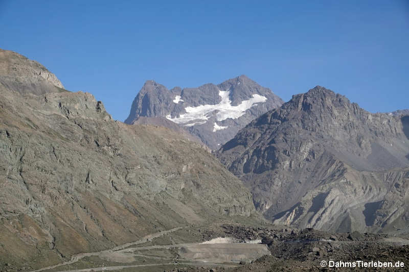 Im Valle de la Engorda