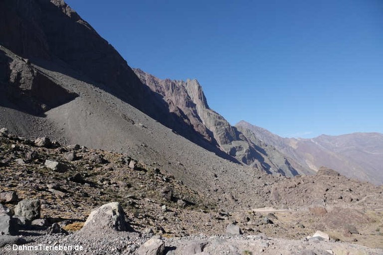 Im Valle de la Engorda