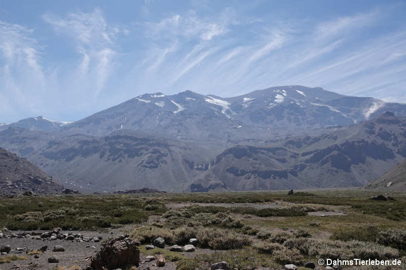 Im Valle de la Engorda