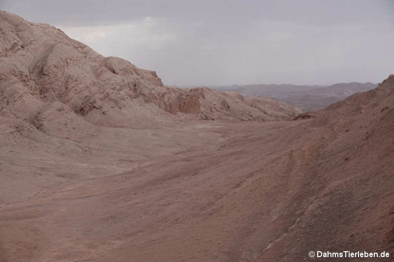 Valle de la Luna