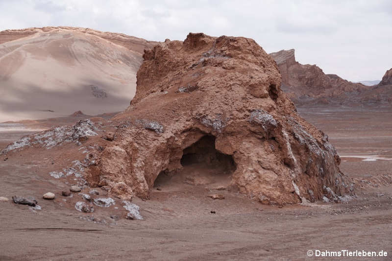 Valle de la Luna