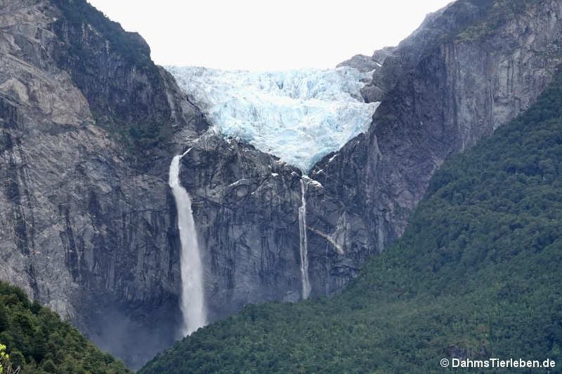 Ventisquero Colgante Gletscher