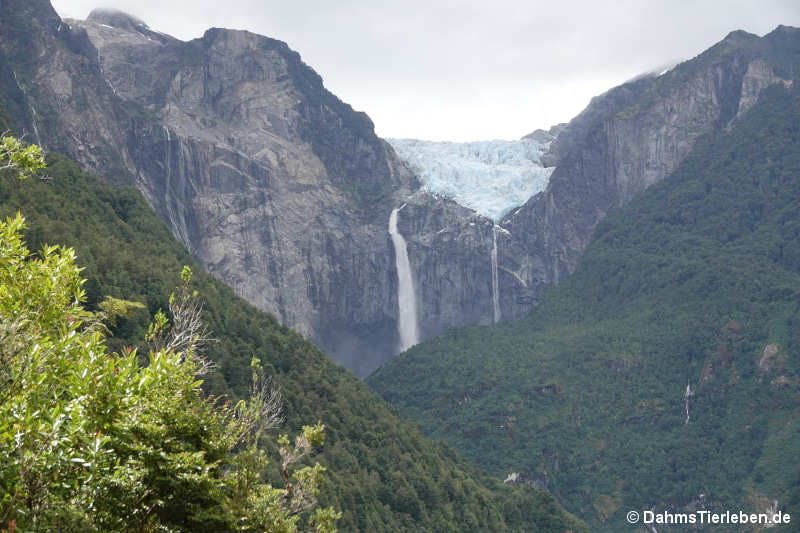 Ventisquero Colgante Gletscher