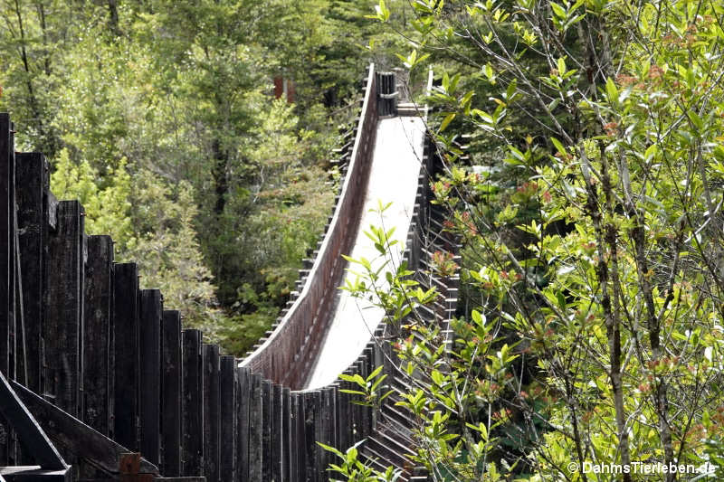 Brücke Rio Ventisqueros