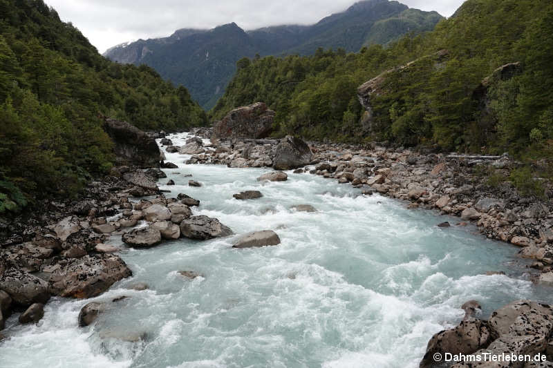 Rio Ventisqueros