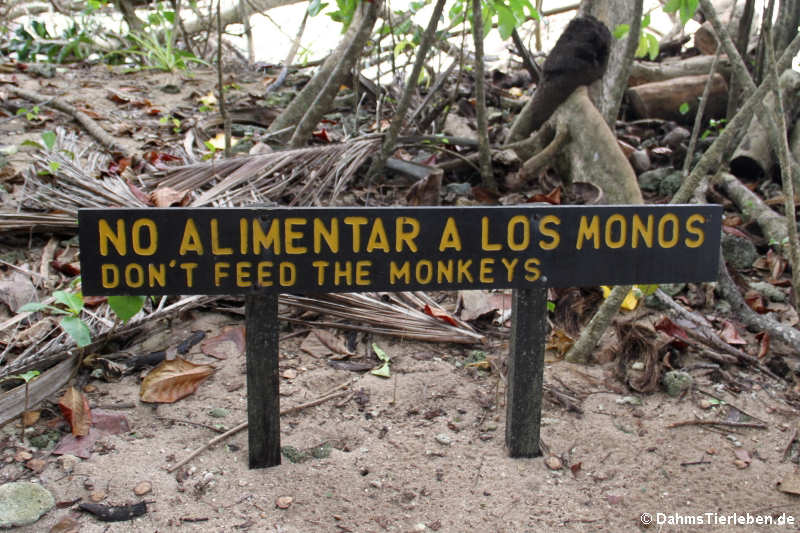 Ein deutlicher Hinweise, die Affen nicht zu füttern
