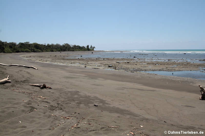 Playa Sirena