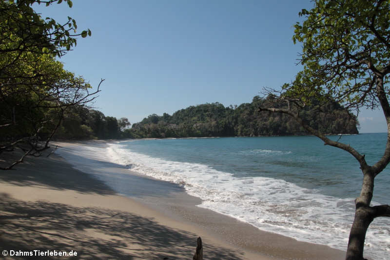 Playa Espadilla