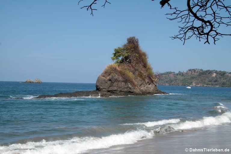 Playa Espadilla