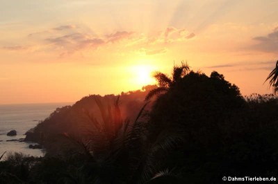 Sonnenuntergang über Punta Quepos