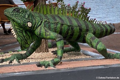 Das Modell eines Grünen Leguans vor einem Restaurant in Willemstad