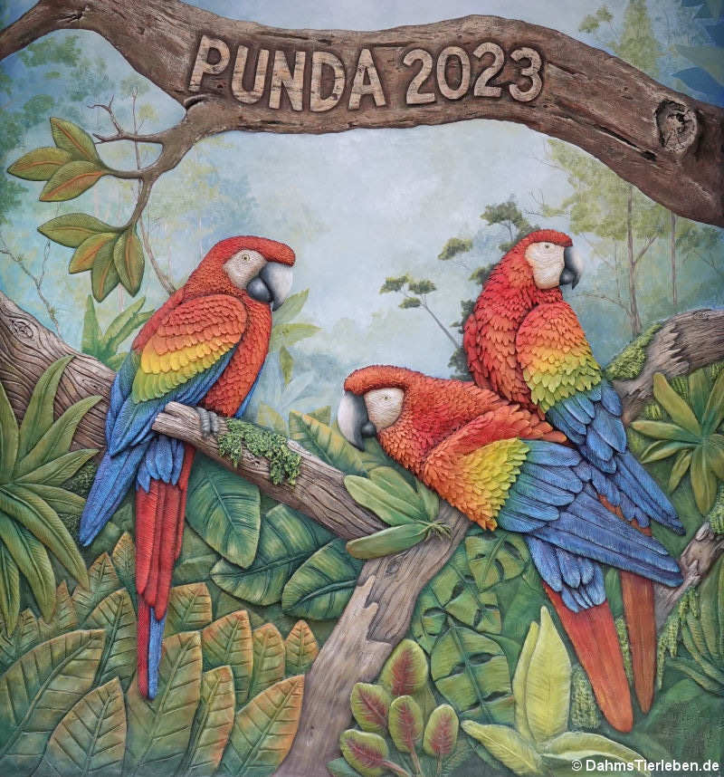 punda.jpg