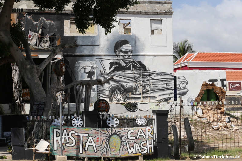 Street Art in Willemstad: Rasta Car Wash