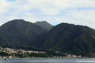Blick auf die Küste von Dominica