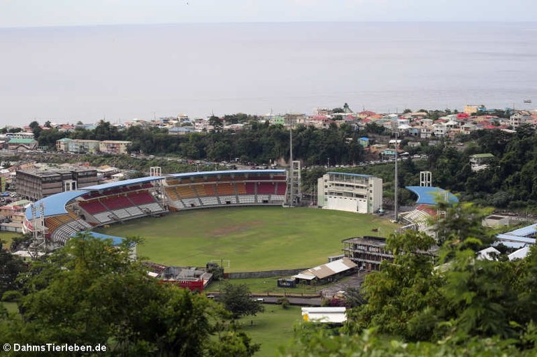 Windsor Park