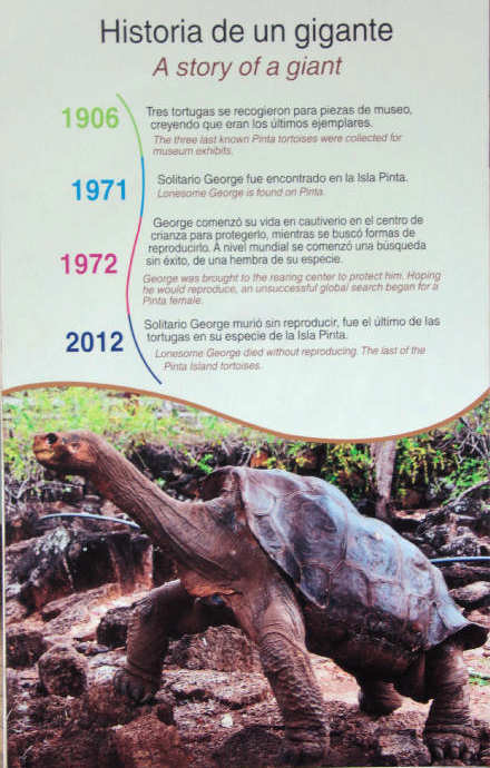 Lonesome George (Tafel)