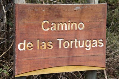 Camino de las Tortugas