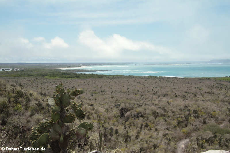 Blick auf Poza de las Diablas und Puerto Villamil