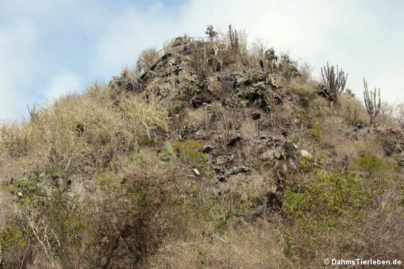 Aussichtspunkt Cerro Ochilla