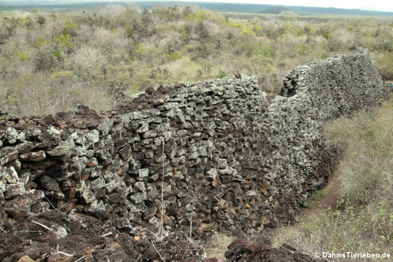 El Muro de las Lágrimas