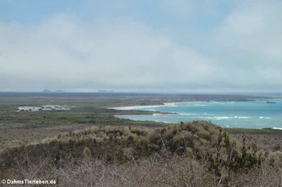 Blick auf Poza de las Diablas und Puerto Villamil