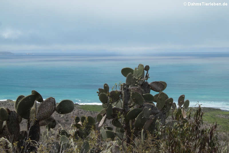 Mirador de las Lagrimas