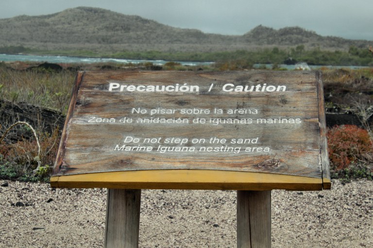 iguana-nesting-area