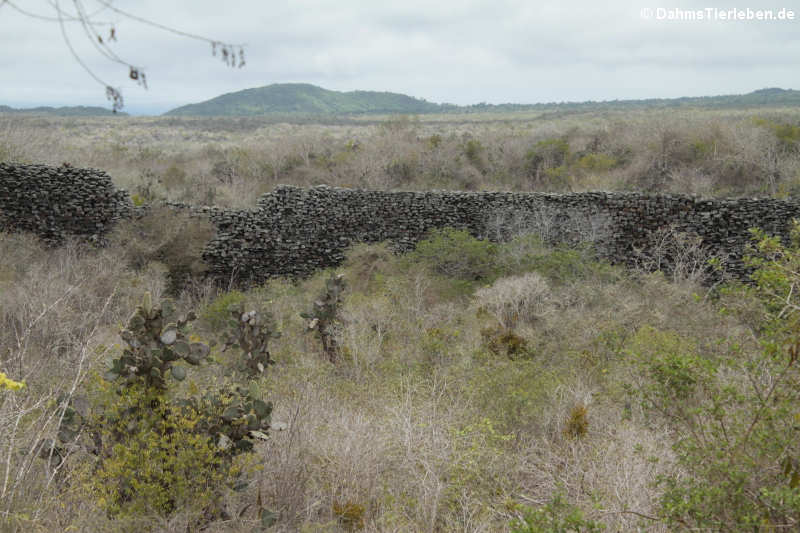 El Muro de las Lágrimas