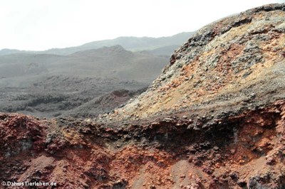 Vulkan Sierra Negra