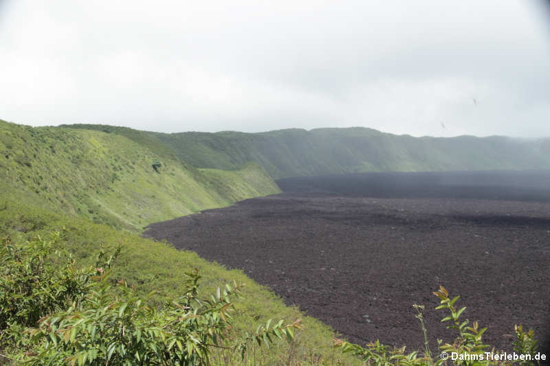 La Caldera (Der Krater)