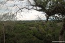 Kapokturm Ausblick