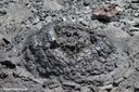 Lava-Bubble auf Galápagos