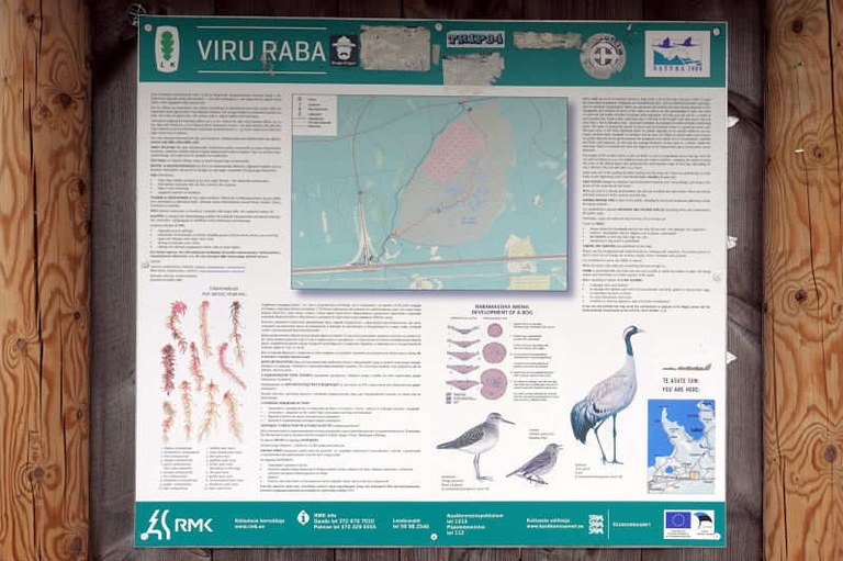 Informationstafel Viru-Hochmoor