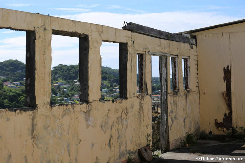 Die Ruine von Fort George