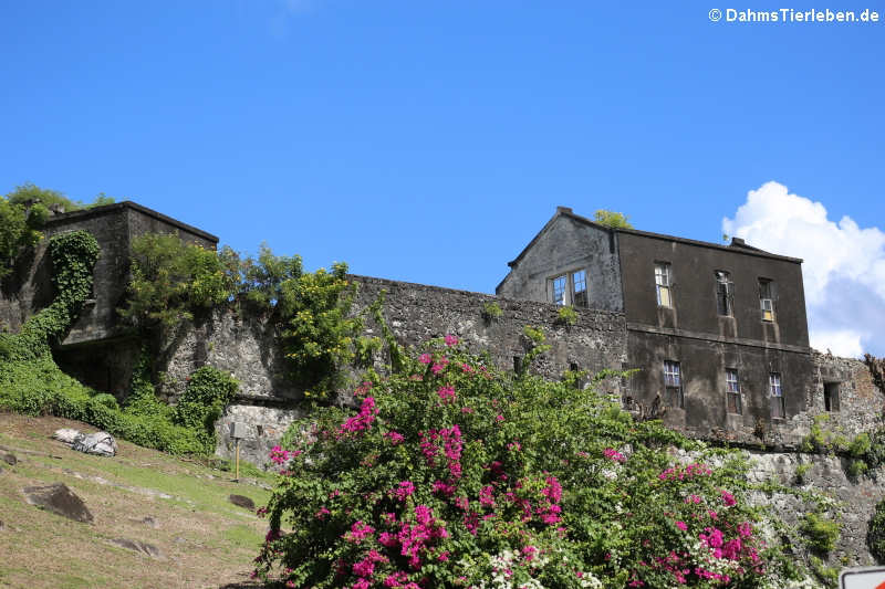 Fort George Hospital