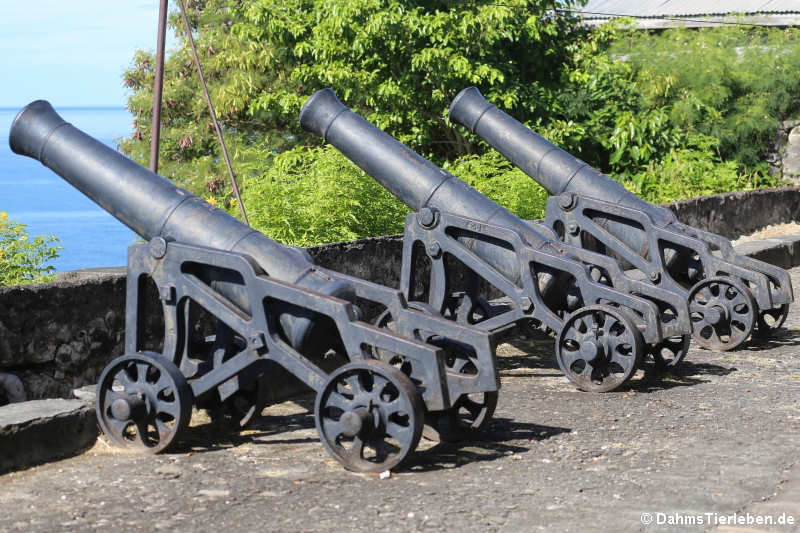 Kanonen auf Fort George 