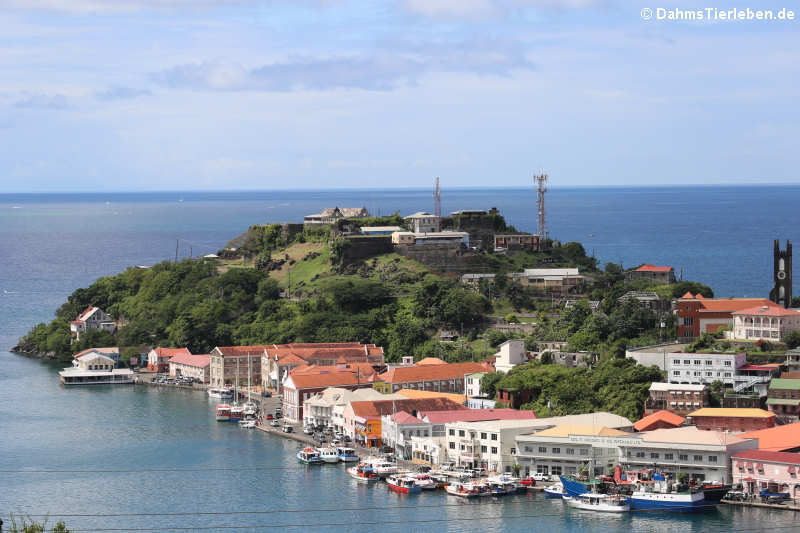 Blick von der Lower Lucas Street auf Fort George