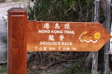 dragon-1