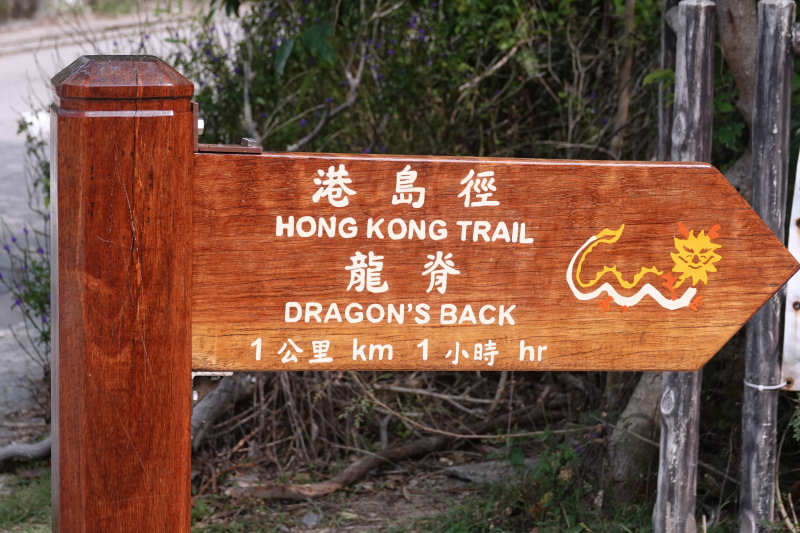 dragon-1
