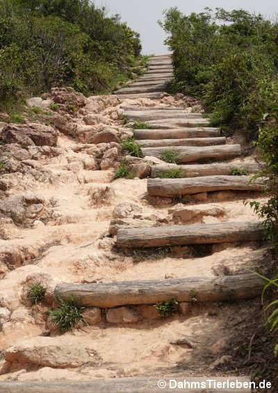 Shek O Peak