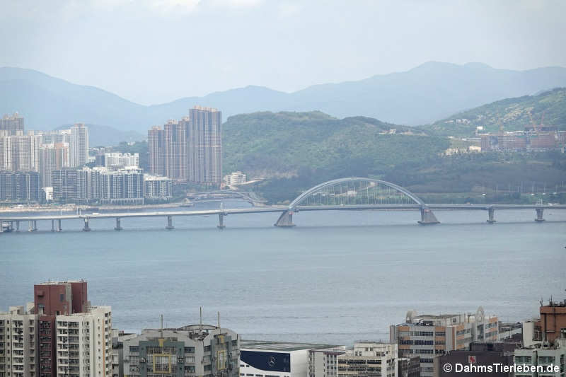 Tseung Kwan O Cross Bay Bridge