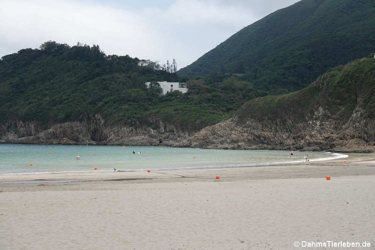 Big Wave Bay Beach