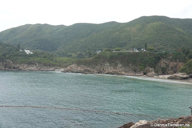 Big Wave Bay Beach