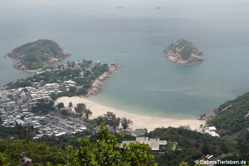 Shek O Village