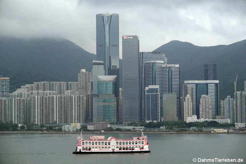 hongkong-1
