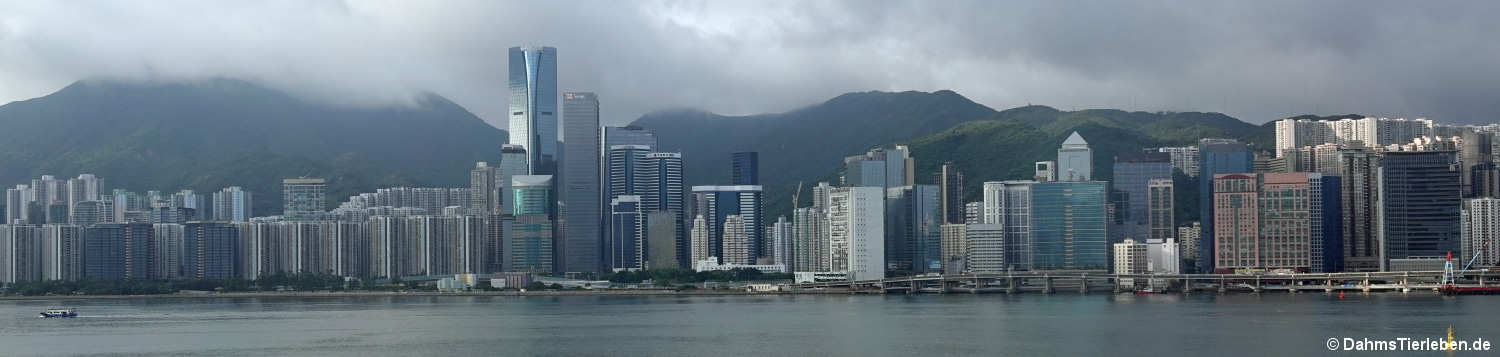 hongkong-15